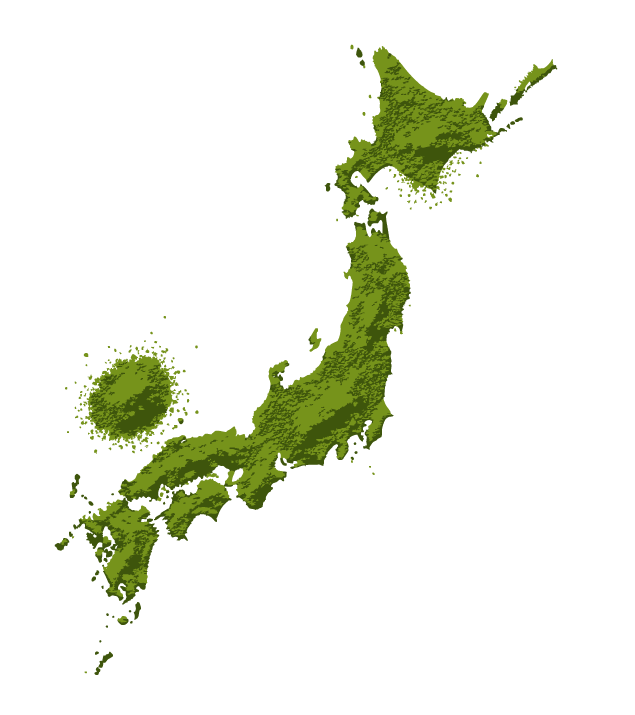 日本フォーカス